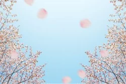 Carta da Parati Paesaggi e Natura Flora e Fauna Cielo Fiori Orientale e Zen Alberi